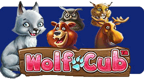 Tauchen Sie ein in eine Welt voller Abenteuer mit dem Wolf Cub Slot von Cazinostars, mit magischen Symbolen und spannenden Bonusrunden